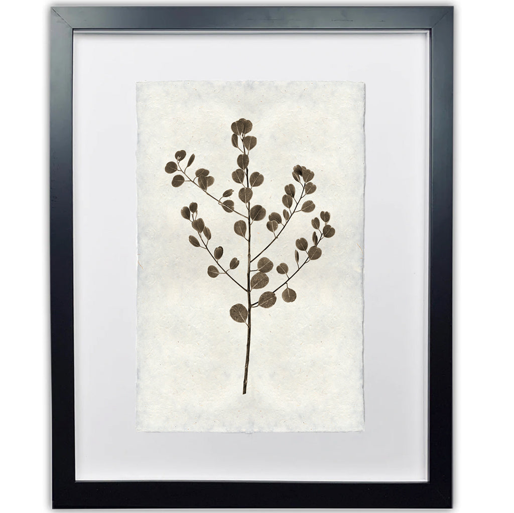 Framed Eucalyptus #1 handmade Nepalese paper wall art print with a brown botanical design.