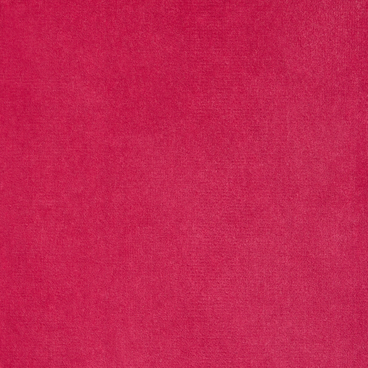Fuchsia pink cotton velvet fabric swatch, solid color.