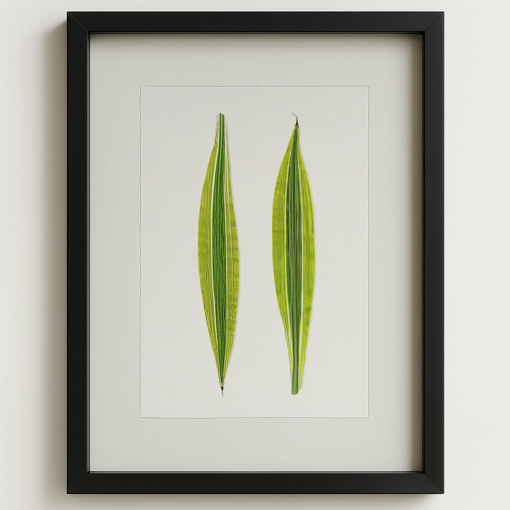 Green Draecena leaf art print on watercolor paper, framed in black, against a white wall.