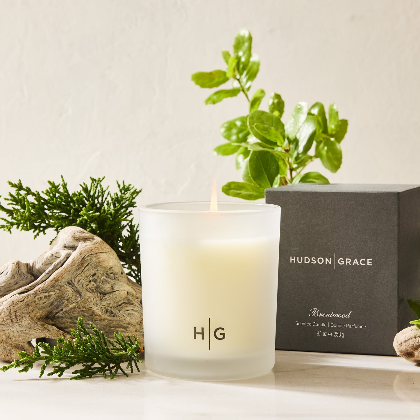 Hudson Grace Brentwood Scented Candle in a frosted glass vessel with a black box, driftwood, and greenery.