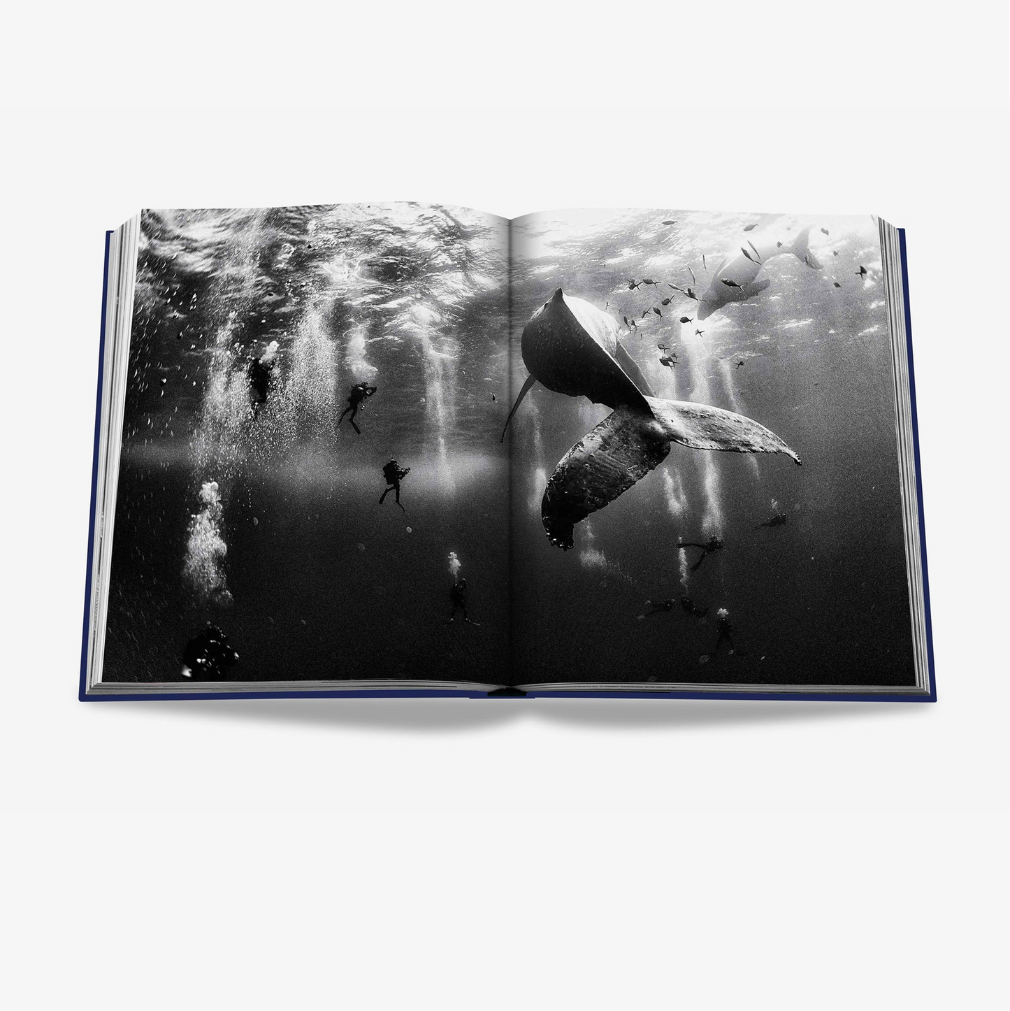 "Ocean Wanderlust" Book