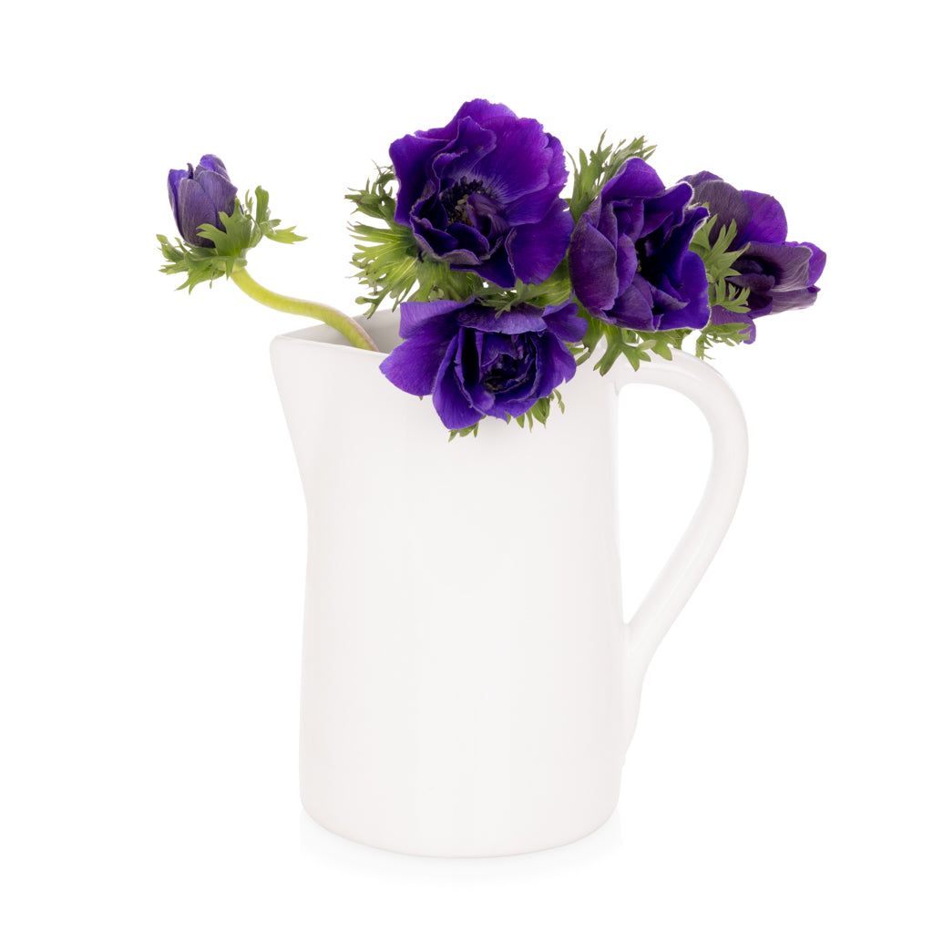 White ceramic pitcher with dark purple anemone flowers.