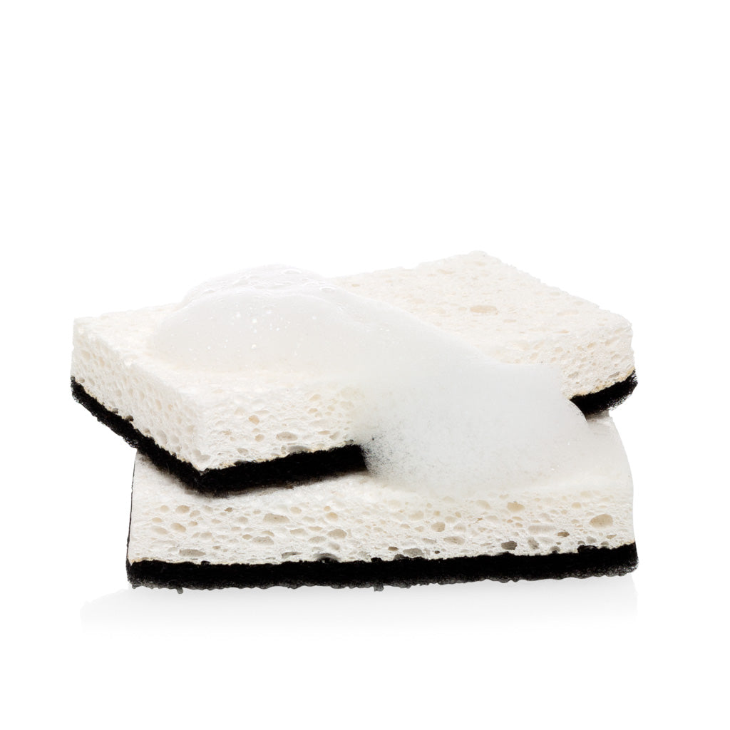 black and white sponge