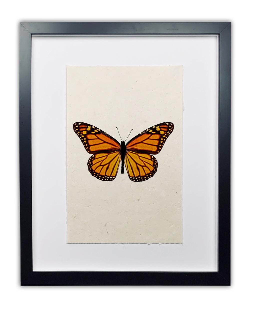 Framed Butterfly #13 handmade paper wall art print featuring an orange and black monarch butterfly.