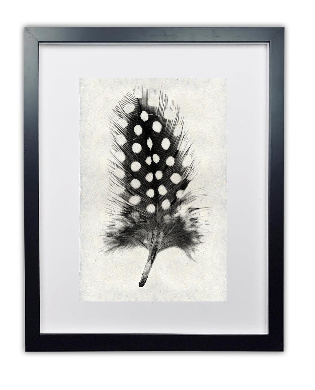 Framed black and white Guinea Fowl feather print on textured handmade paper, black frame.
