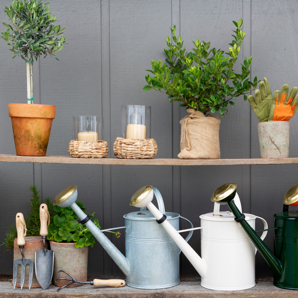 White zinc watering can with gold spout, 9-liter capacity, on a wooden shelf with other garden items.