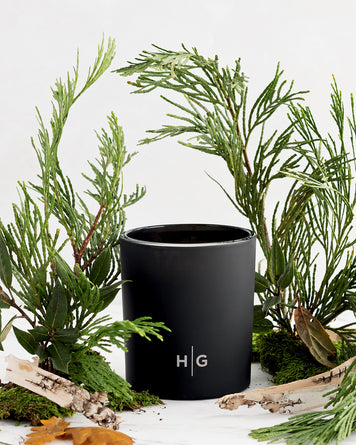 Birch bark, cedar, leather, leaves and fireplace