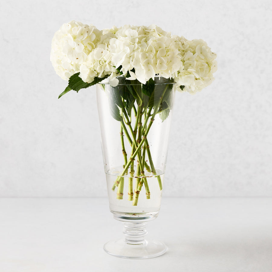 Large Oxford Glass Vase