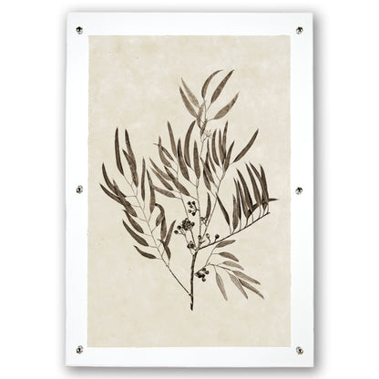 Eucalyptus #4 Handmade Paper Wall Art Print