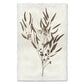 Eucalyptus #6 Handmade Paper Art Print