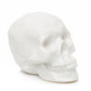 Shiny White Ceramic Halloween Skull