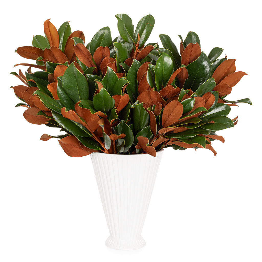 https://hudsongracesf.com/cdn/shop/files/F23_Holiday_Greens_Magnolia_Bunch_Product.jpg?v=1697138356