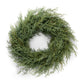 Fresh Carolina Sapphire Cypress Wreath 18"
