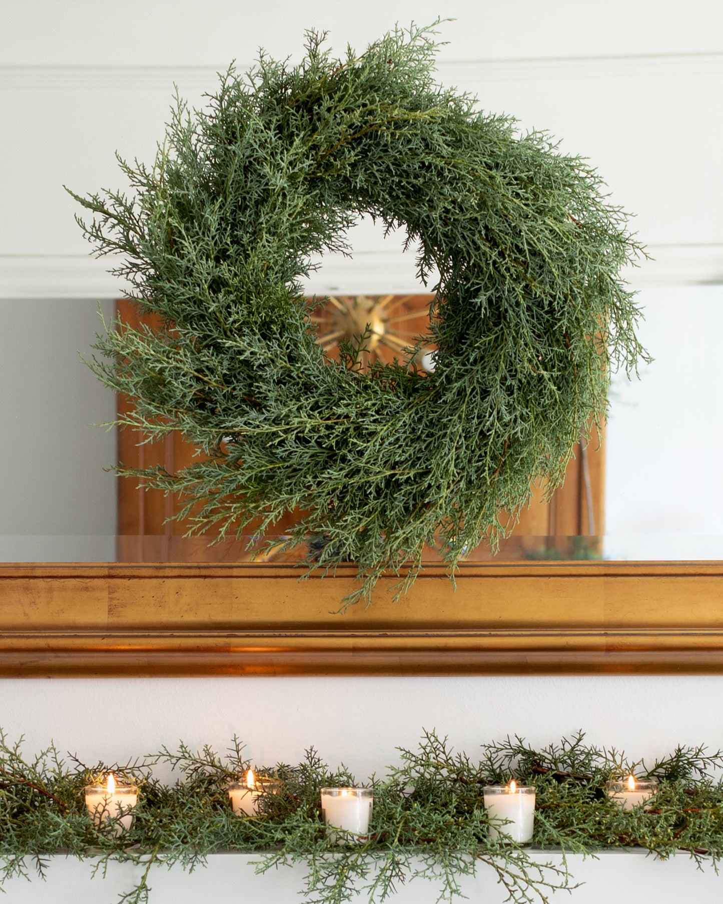 Fresh Carolina Sapphire Cypress Wreath 18"