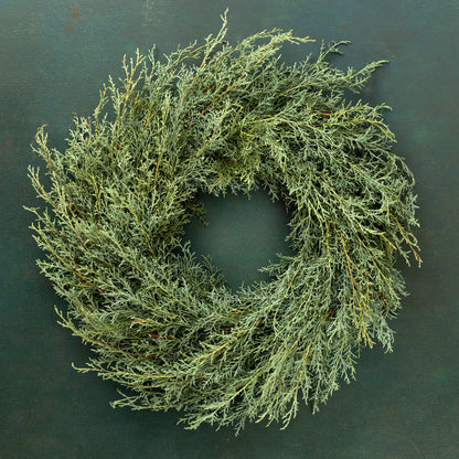 Fresh Carolina Sapphire Cypress Wreath 18"