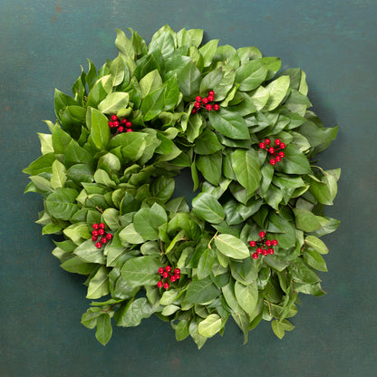 Fresh Salal and Red Berries Wreath 18"