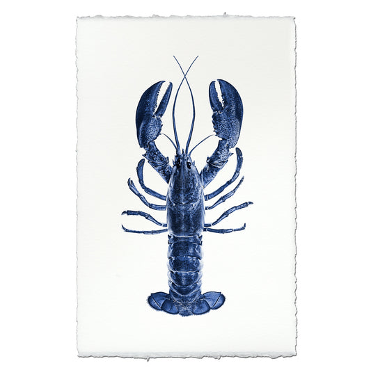 Blue Maine Lobster on English Watercolor Wall Art Print