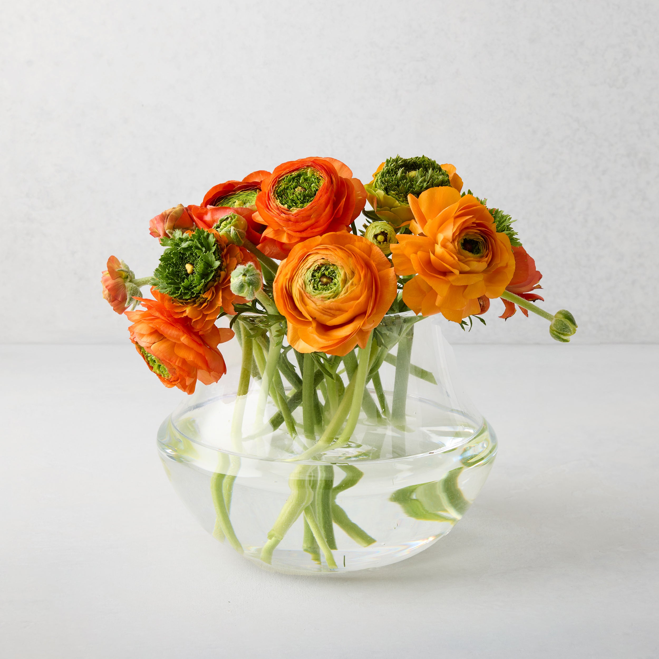 Mario Glass Vase - Hudson Grace