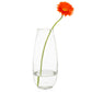 Robert Glass Vase