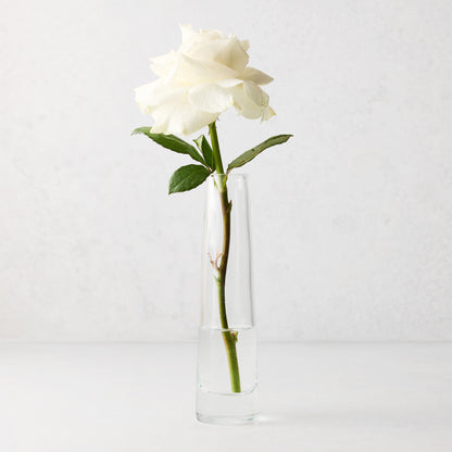 Solifleur Large Glass Bud Vase