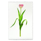 Pink Tulip on English Watercolor Wall Art Print