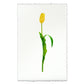 Yellow Tulip on English Watercolor Wall Art Print
