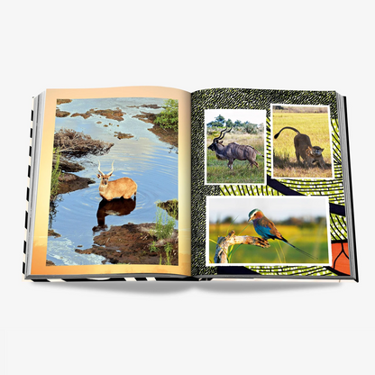 Open "African Adventures" book with wildlife photos: a lechwe in water, kudu, lioness with cub, and lilac-breasted roller.
