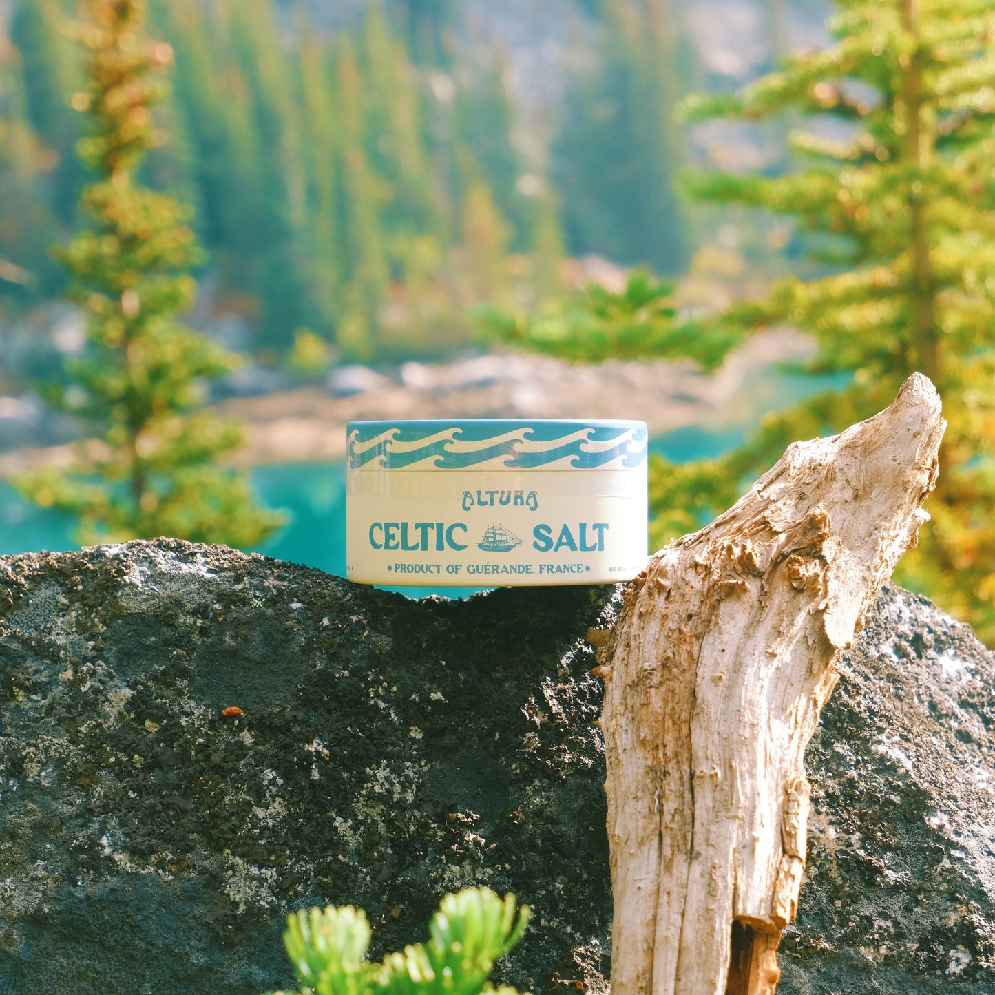 Altura Celtic Salt tin, light blue and cream, on dark rock with driftwood and green trees.