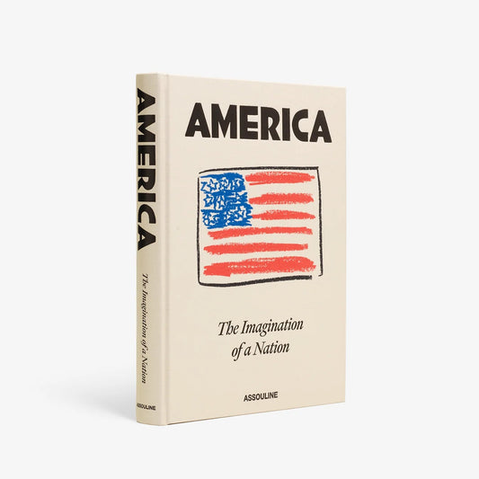 Hardcover book "America: The Imagination of a Nation" with a distressed American flag design on a cream cover.