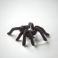 Black cast iron decorative spider, 3"L x 3.5"W, with textured body and legs.