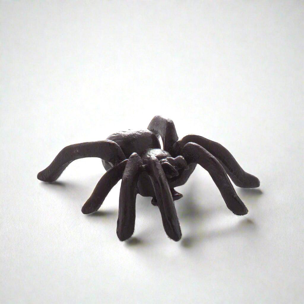 Black cast iron decorative spider, 3"L x 3.5"W, with textured body and legs.