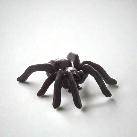 Black cast iron decorative spider, 3"L x 3.5"W, with textured body and legs.