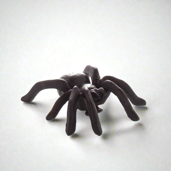 Black cast iron decorative spider, 3"L x 3.5"W, with textured body and legs.