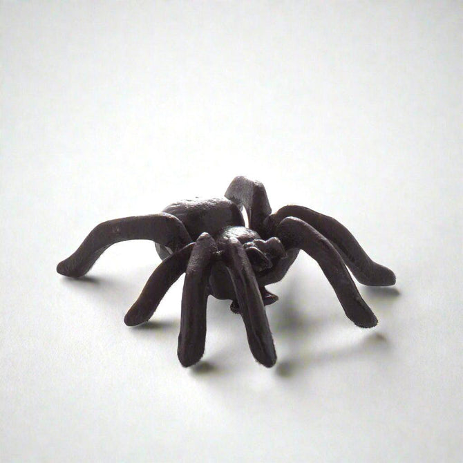 Black cast iron decorative spider, 3"L x 3.5"W, with textured body and legs.