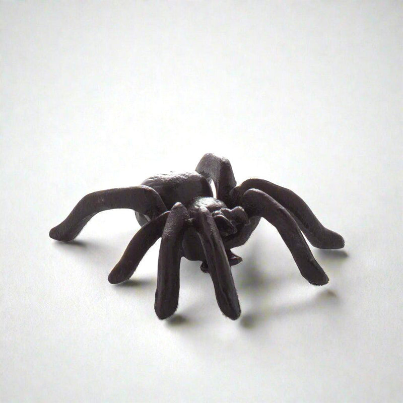 Black cast iron decorative spider, 3"L x 3.5"W, with textured body and legs.
