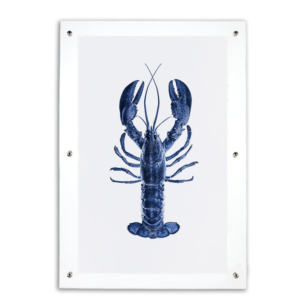 Blue Maine Lobster on English watercolor wall art print in an acrylic frame.