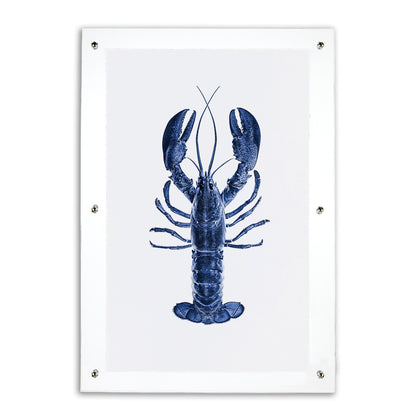 Blue Maine Lobster on English watercolor wall art print in an acrylic frame.