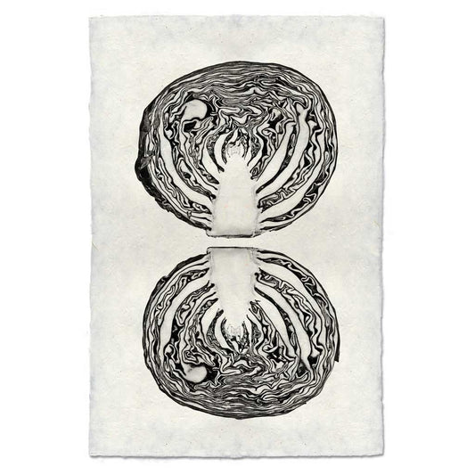 Black and white cabbage cross-section art print on textured handmade Nepalese paper.