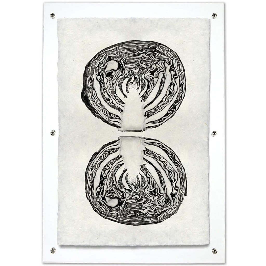 Black and white cabbage cross-section art print on handmade Nepalese paper, mounted on clear acrylic.