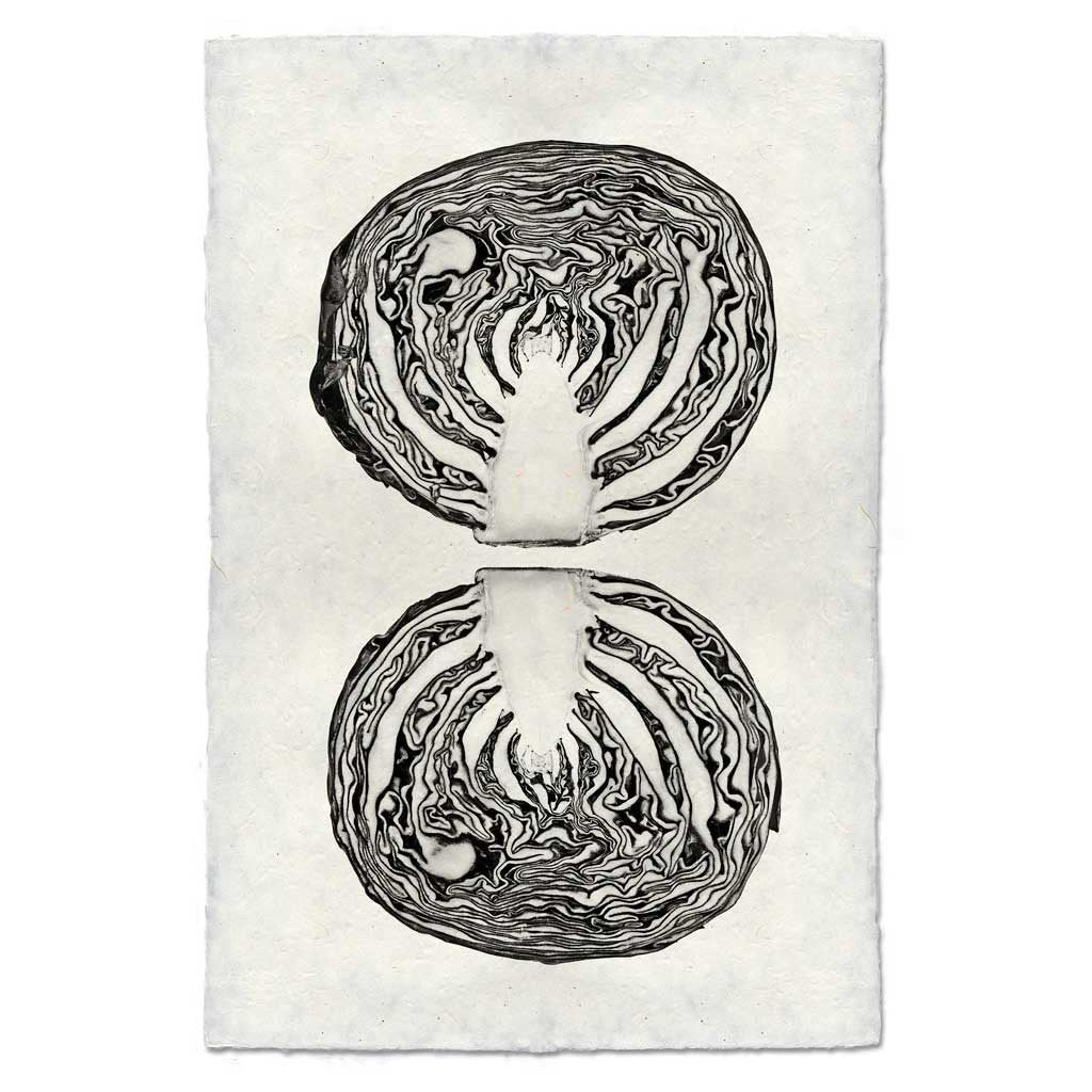 Black and white cabbage cross-section art print on textured handmade Nepalese paper.