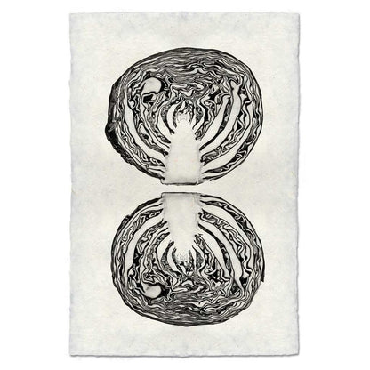 Black and white cabbage cross-section art print on textured handmade Nepalese paper.