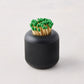 Black cast iron match striker with deep knurling, holding matches with green tips.