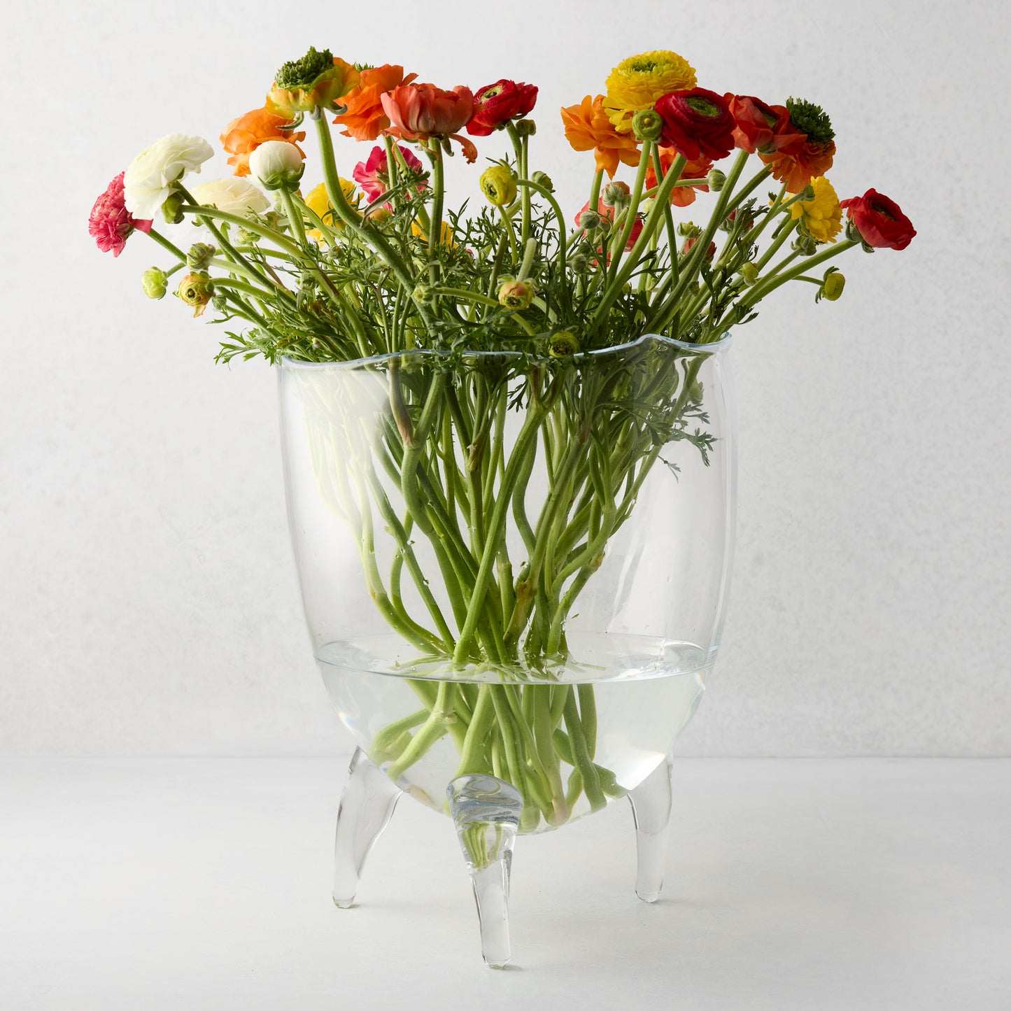Large Cis clear glass bowl with scissor-cut rim, on three legs, holding colorful ranunculus flowers.