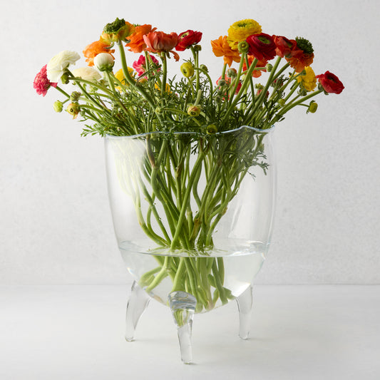 Large Cis clear glass bowl with scissor-cut rim, on three legs, holding colorful ranunculus flowers.