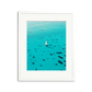 Dalmatian Pattern Framed Wall Art Print: White sailboat on turquoise water, white wooden frame, custom white mat.