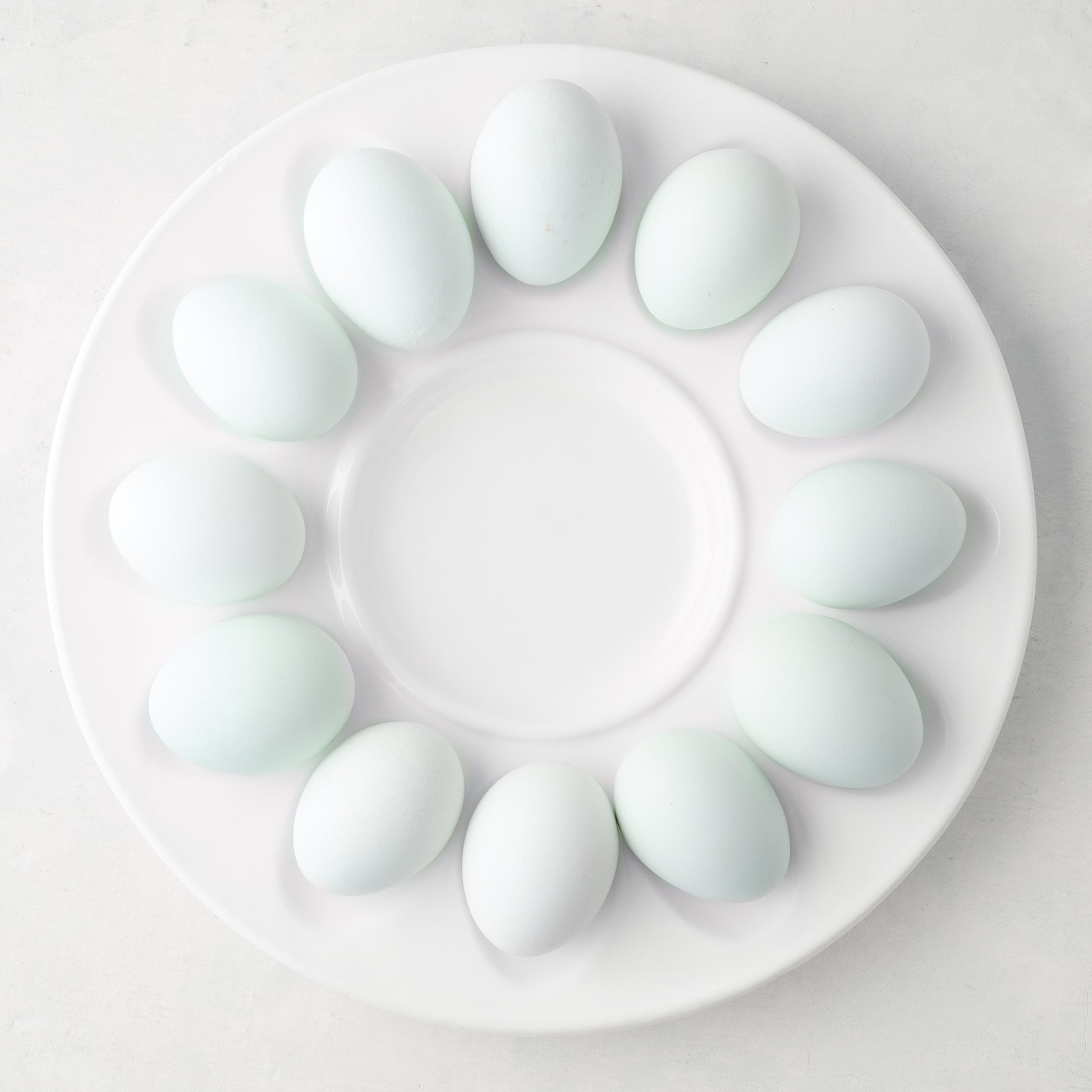 White 11"Dia ceramic Deviled Egg Serving Platter with a low profile, holding twelve light blue eggs.