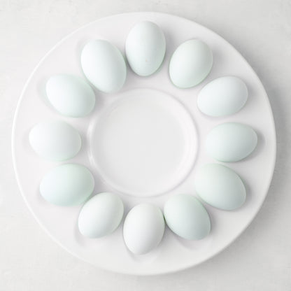White 11"Dia ceramic Deviled Egg Serving Platter with a low profile, holding twelve light blue eggs.