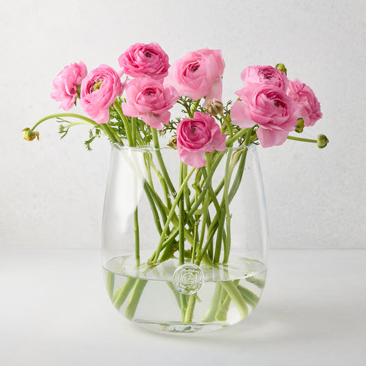 Clear mouth-blown glass Diana vase with scissor-cut edge, rounded base, holding pink ranunculus flowers.