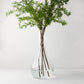 Elise Glass Vase, 19.5"H, mouth-blown clear glass, traditional shape, with green leafy stems.