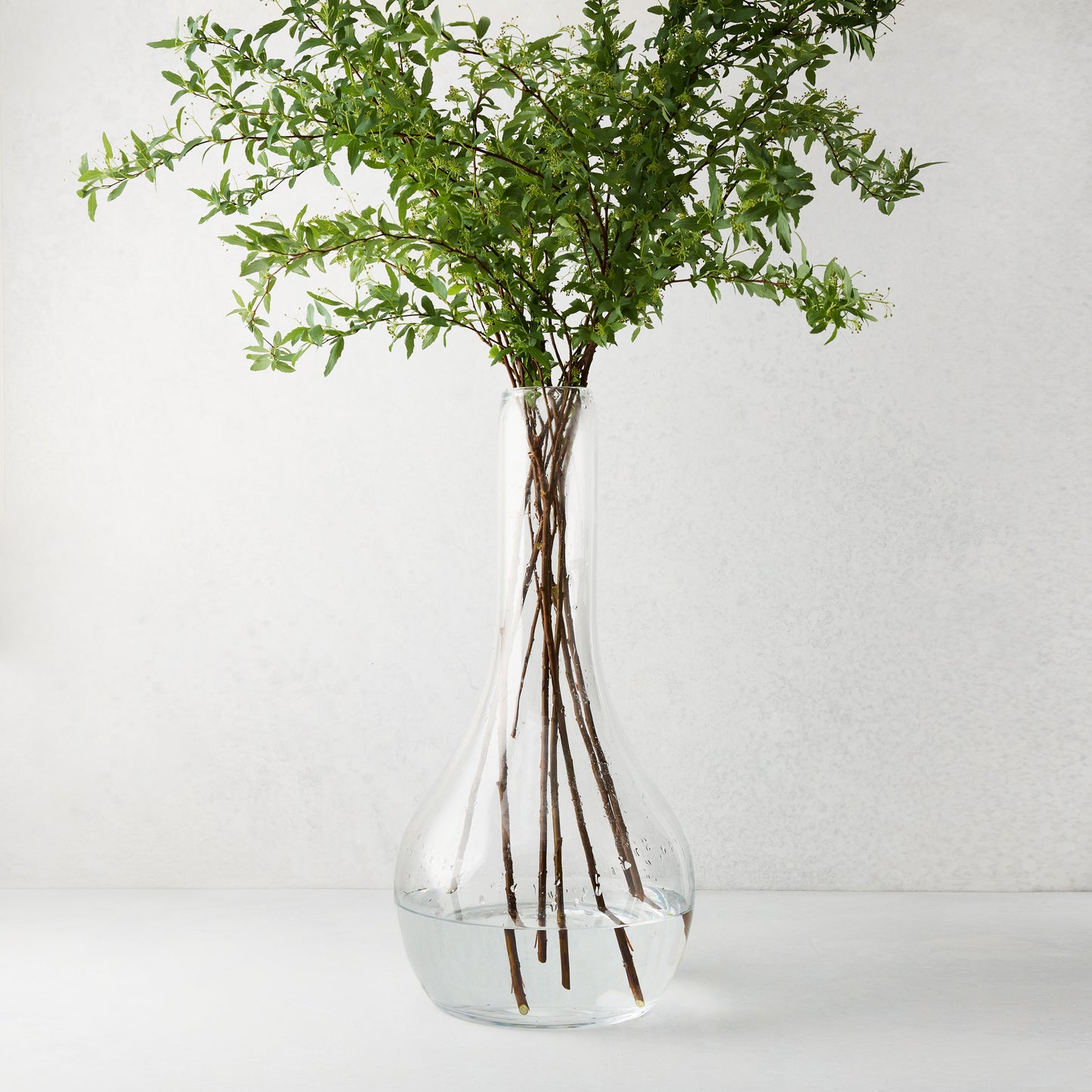 Elise Glass Vase, 19.5"H, mouth-blown clear glass, traditional shape, with green leafy stems.